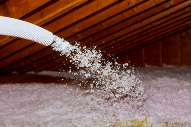 Best Specialized Insulation Services in St Anthony, MN
