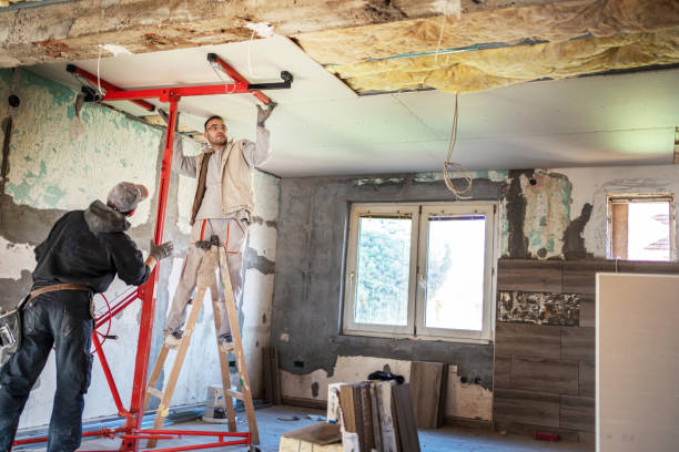 Best Cellulose Insulation in St Anthony, MN